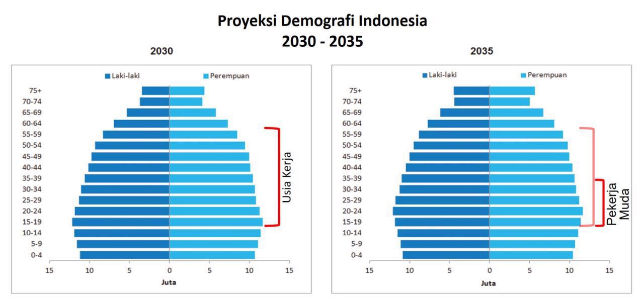 DemografiIndonesia